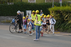 immaginepagina-pedibus