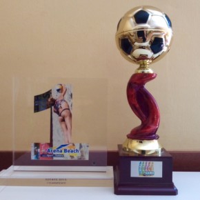 Torneo di beneficenza